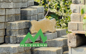 Gạch con sâu màu vàng tự chèn