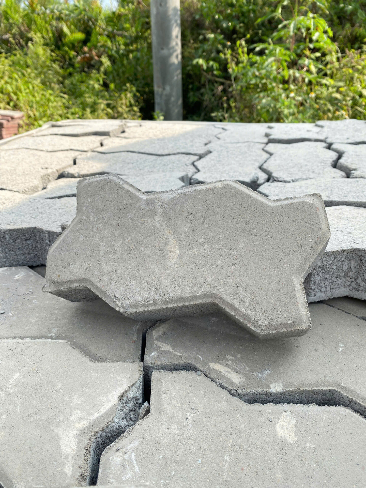 GẠCH BÊ TÔNG CON SÂU NHÁM