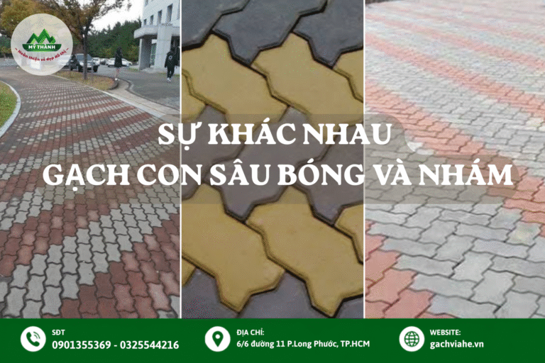 So sánh gạch con sâu bóng và con sâu nhám